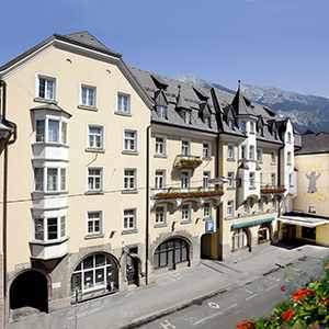 Grauer Baer