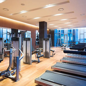 Novotel Ambassador Seoul Dongdaemun Hotel