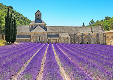 France Guided Tours